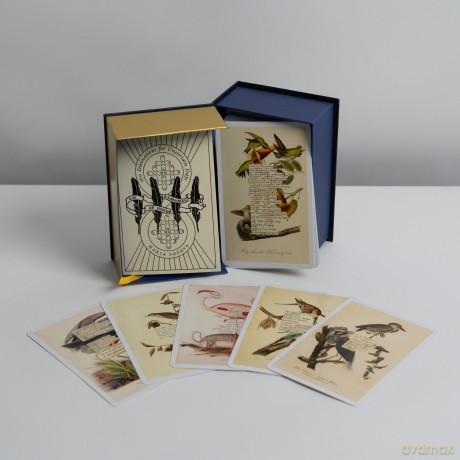 An Almanac of Birds: 100 Divinations for Uncertain Days - Maria Popova [KSIĄŻKA]