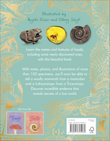 An Anthology of Fossils: A Collection of Plant and Animal Fossils From Around the World - Dean Lomax [KSIĄŻKA]