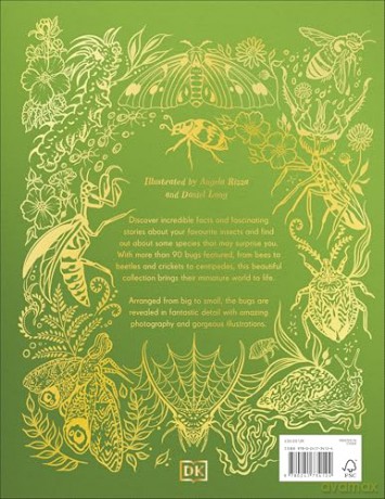 An Anthology of Remarkable Bugs - Jess French [KSIĄŻKA]