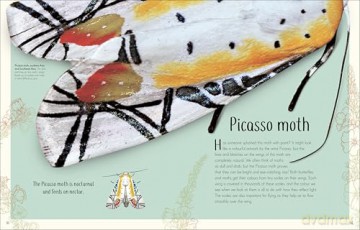 An Anthology of Remarkable Bugs - Jess French [KSIĄŻKA]