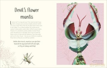 An Anthology of Remarkable Bugs - Jess French [KSIĄŻKA]