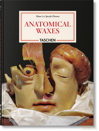 Anatomical Waxes. 45th Ed. - Marta Poggesi [KSIĄŻKA]