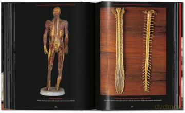 Anatomical Waxes. 45th Ed. - Marta Poggesi [KSIĄŻKA]