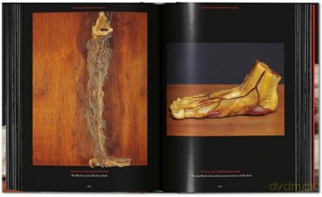 Anatomical Waxes. 45th Ed. - Marta Poggesi [KSIĄŻKA]