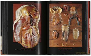 Anatomical Waxes. 45th Ed. - Marta Poggesi [KSIĄŻKA]
