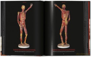 Anatomical Waxes. 45th Ed. - Marta Poggesi [KSIĄŻKA]