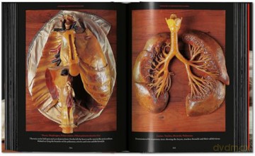 Anatomical Waxes. 45th Ed. - Marta Poggesi [KSIĄŻKA]