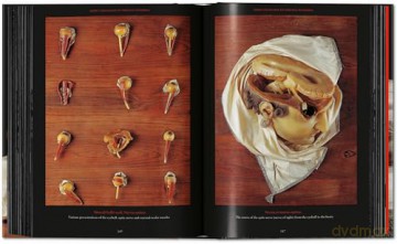 Anatomical Waxes. 45th Ed. - Marta Poggesi [KSIĄŻKA]