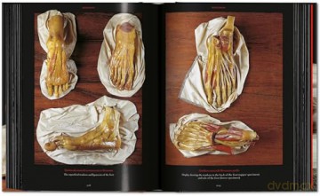 Anatomical Waxes. 45th Ed. - Marta Poggesi [KSIĄŻKA]