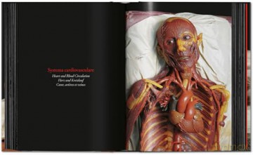 Anatomical Waxes. 45th Ed. - Marta Poggesi [KSIĄŻKA]