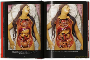 Anatomical Waxes. 45th Ed. - Marta Poggesi [KSIĄŻKA]