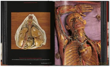 Anatomical Waxes. 45th Ed. - Marta Poggesi [KSIĄŻKA]