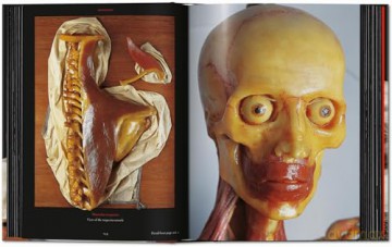 Anatomical Waxes. 45th Ed. - Marta Poggesi [KSIĄŻKA]