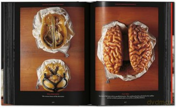 Anatomical Waxes. 45th Ed. - Marta Poggesi [KSIĄŻKA]