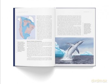 Ancient Sea Reptiles: Plesiosaurs, ichthyosaurs, mosasaurs and more - Darren Naish [KSIĄŻKA]