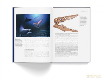 Ancient Sea Reptiles: Plesiosaurs, ichthyosaurs, mosasaurs and more - Darren Naish [KSIĄŻKA]