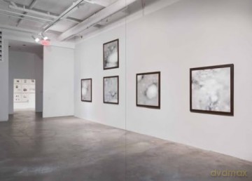 Andrea Blum: Biota: A Discourse between Art and Architecture from the 1970s to the Present - Harper Montgomery [KSIĄŻKA]