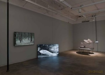 Andrea Blum: Biota: A Discourse between Art and Architecture from the 1970s to the Present - Harper Montgomery [KSIĄŻKA]