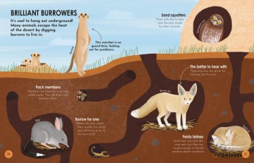 Animal Habitats: Explore sun-baked deserts, untamed jungles, spectacular undersea worlds, and frozen polar regions - Annabel Griffin [KSIĄŻKA]