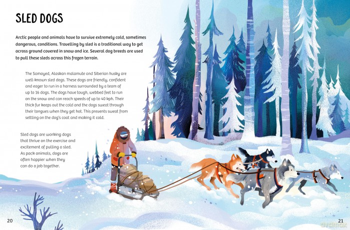 Animal Helpers: How Animals From Around the World Help Us - Ben Hubbard [KSIĄŻKA]