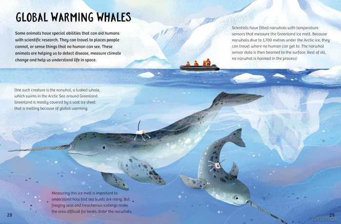 Animal Helpers: How Animals From Around the World Help Us - Ben Hubbard [KSIĄŻKA]