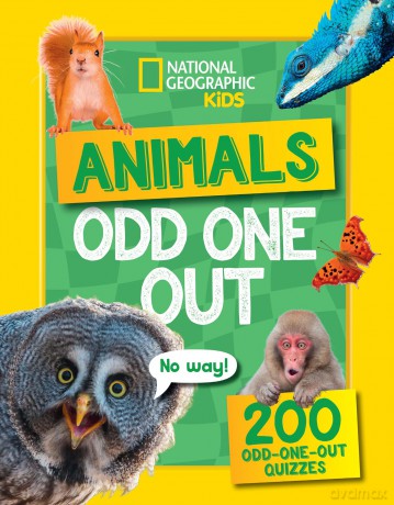 Animals Odd One Out: A fun-filled game book with 200 quizzes - National Geographic Kids [KSIĄŻKA]