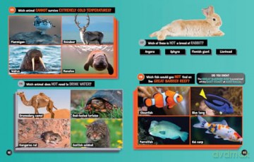 Animals Odd One Out: A fun-filled game book with 200 quizzes - National Geographic Kids [KSIĄŻKA]