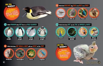 Animals Odd One Out: A fun-filled game book with 200 quizzes - National Geographic Kids [KSIĄŻKA]