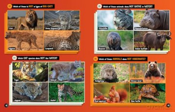 Animals Odd One Out: A fun-filled game book with 200 quizzes - National Geographic Kids [KSIĄŻKA]