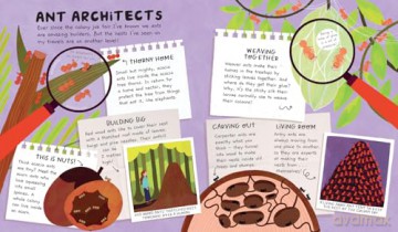 Ant Life: Book 2 - Moesha Kellaway [KSIĄŻKA]