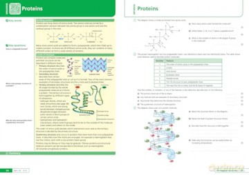 AQA A-level Biology Organise and Retrieve Your Knowledge: Ideal for the 2026 and 2027 exams - Collins A level [KSIĄŻKA]