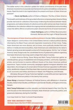 Asian America Rising: New Directions for Political Activism - Diane Wong [KSIĄŻKA]
