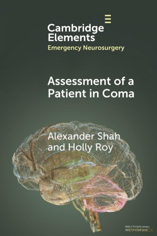 Assessment of a Patient in Coma - Alexander Shah [KSIĄŻKA]