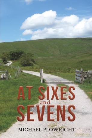 At Sixes and Sevens - Michael Plowright [KSIĄŻKA]