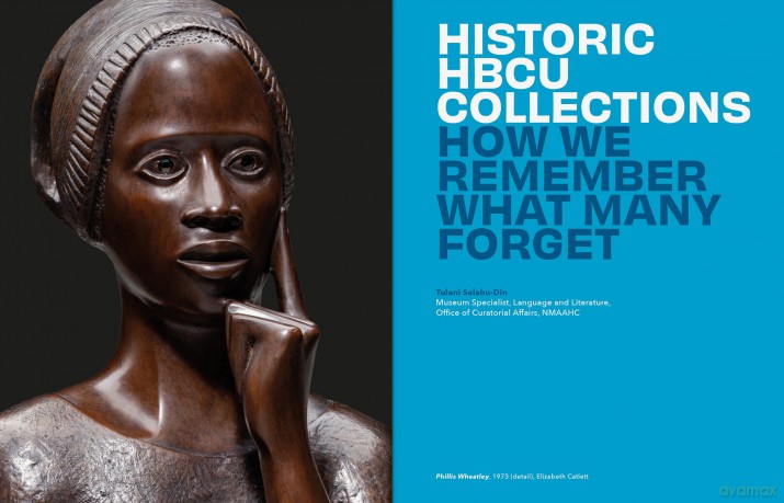 At the Vanguard: Collections from Historically Black Colleges and Universities: 1 - Tulani Salahu-Din [KSIĄŻKA]