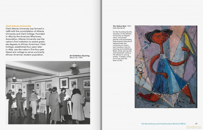 At the Vanguard: Collections from Historically Black Colleges and Universities: 1 - Tulani Salahu-Din [KSIĄŻKA]