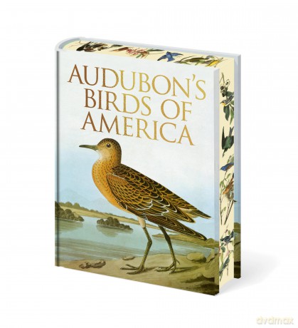 Audubon's Birds of America - John James Audubon [KSIĄŻKA]