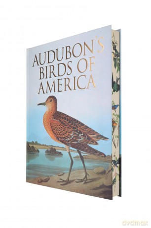 Audubon's Birds of America - John James Audubon [KSIĄŻKA]