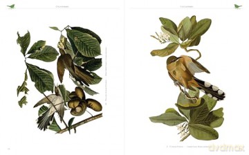 Audubon's Birds of America - John James Audubon [KSIĄŻKA]