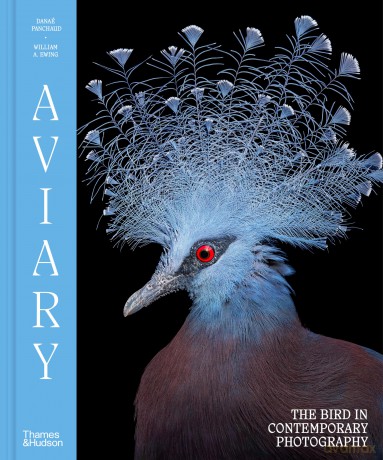 Aviary: The Bird in Contemporary Photography - William A. Ewing [KSIĄŻKA]
