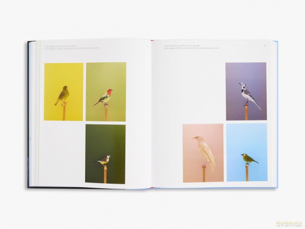Aviary: The Bird in Contemporary Photography - William A. Ewing [KSIĄŻKA]