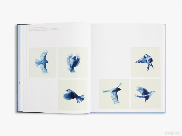 Aviary: The Bird in Contemporary Photography - William A. Ewing [KSIĄŻKA]