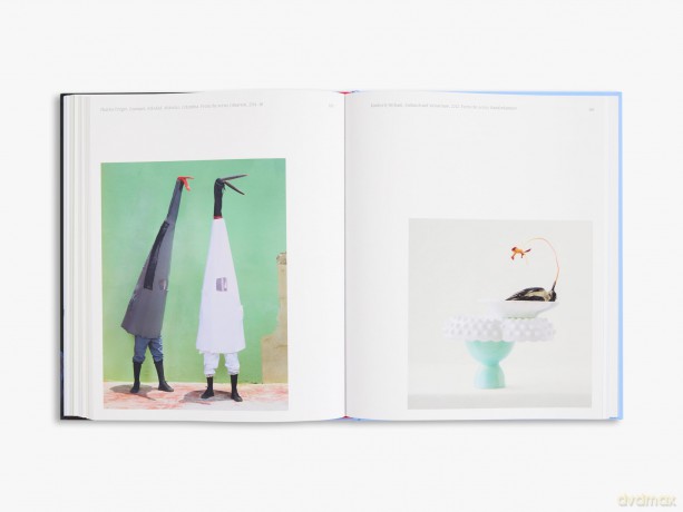 Aviary: The Bird in Contemporary Photography - William A. Ewing [KSIĄŻKA]