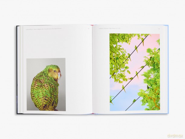 Aviary: The Bird in Contemporary Photography - William A. Ewing [KSIĄŻKA]