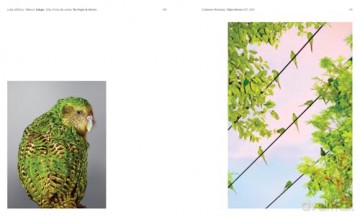 Aviary: The Bird in Contemporary Photography - William A. Ewing [KSIĄŻKA]