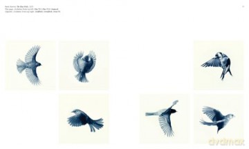 Aviary: The Bird in Contemporary Photography - William A. Ewing [KSIĄŻKA]