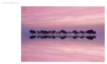 Aviary: The Bird in Contemporary Photography - William A. Ewing [KSIĄŻKA]