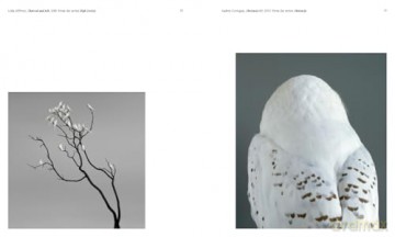 Aviary: The Bird in Contemporary Photography - William A. Ewing [KSIĄŻKA]
