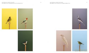Aviary: The Bird in Contemporary Photography - William A. Ewing [KSIĄŻKA]