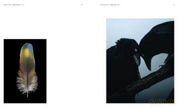 Aviary: The Bird in Contemporary Photography - William A. Ewing [KSIĄŻKA]